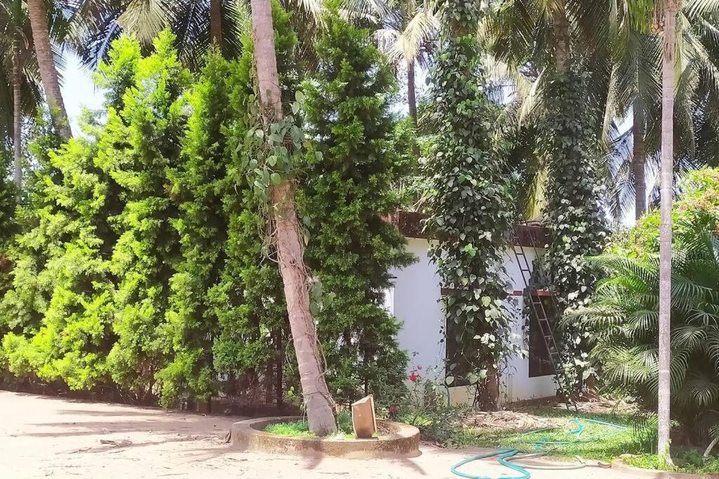 Runnin Airport - Homestay Gurpur Dış mekan fotoğraf