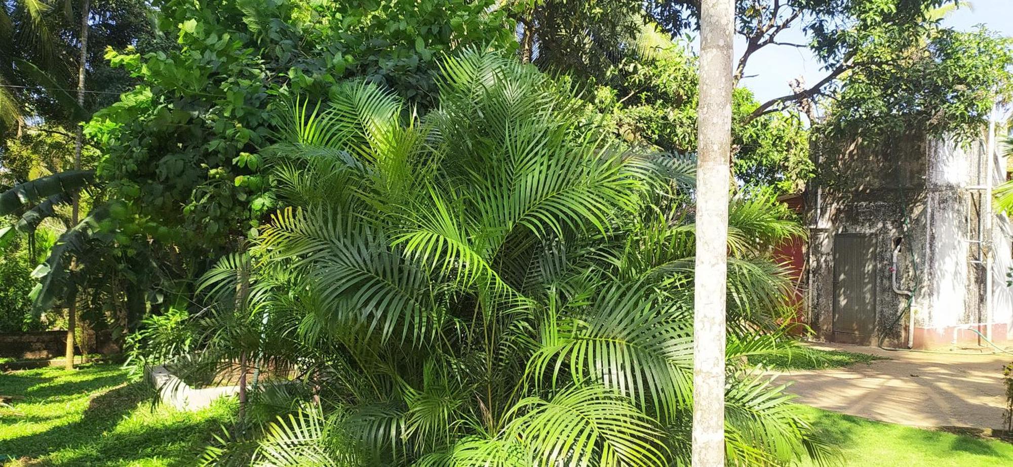 Runnin Airport - Homestay Gurpur Dış mekan fotoğraf
