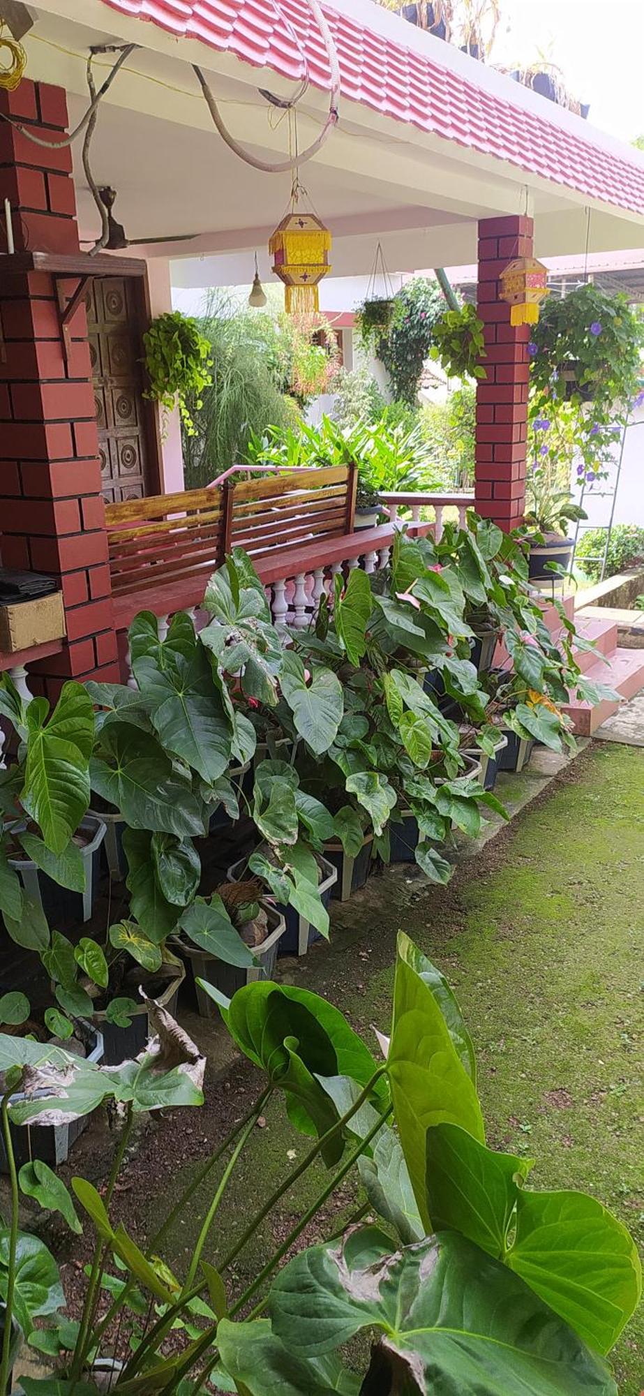 Runnin Airport - Homestay Gurpur Dış mekan fotoğraf
