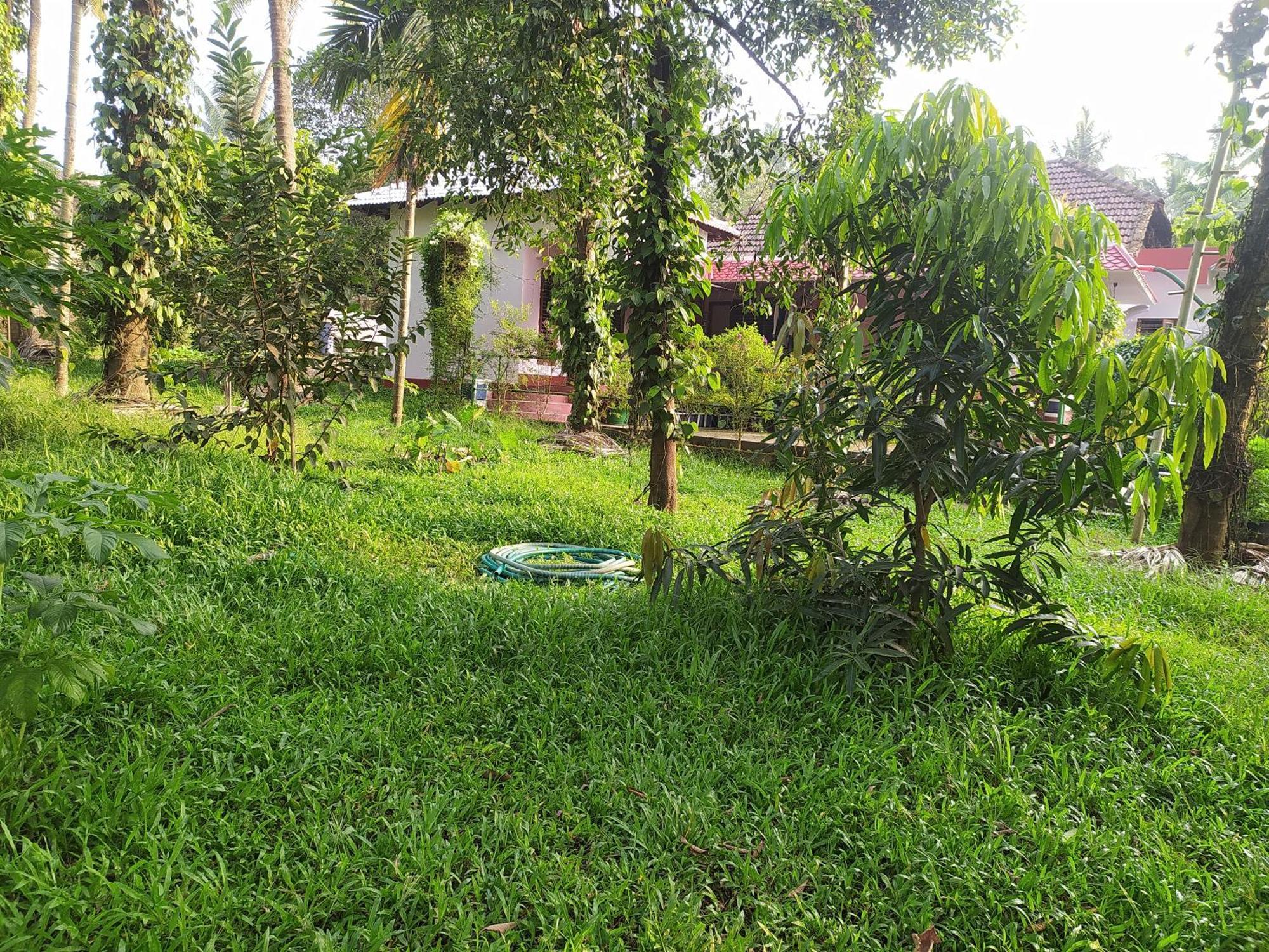 Runnin Airport - Homestay Gurpur Dış mekan fotoğraf